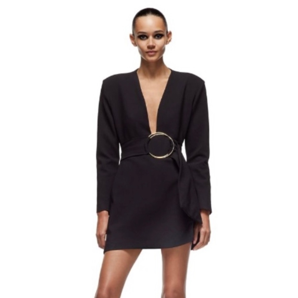 Zara Limited Edition Mini Dress